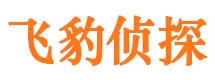 鲁甸捉小三公司